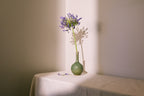 amphora | minimalist ceramic vase